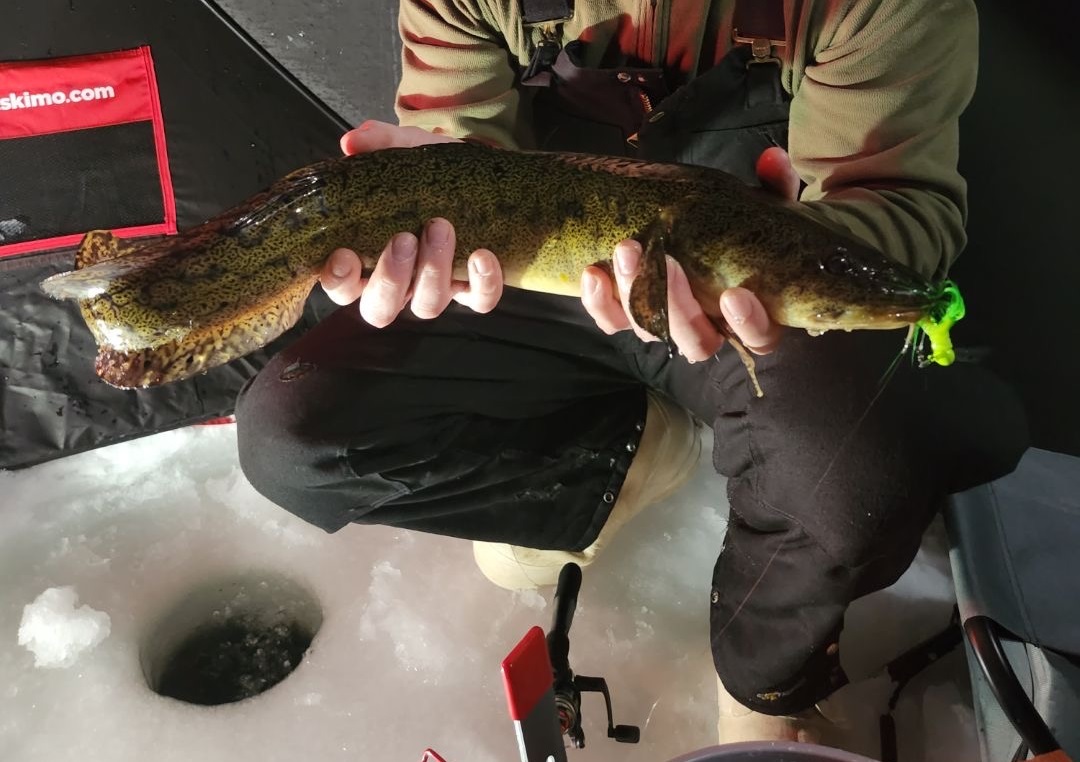 Ice Fishing (Burbot) Nanook Recreation